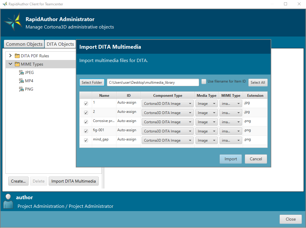 Bulk multimedia import in RapidAuthor Administrator for DITA authoring in Active Workspace